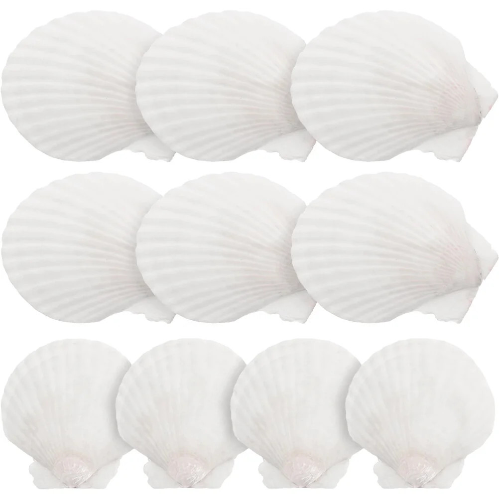 10Pcs Shell Crafts Barbecue Shell Plates Seashell Dinner Plate Fruit Plate Crafting Shell Plate | Walmart (US)
