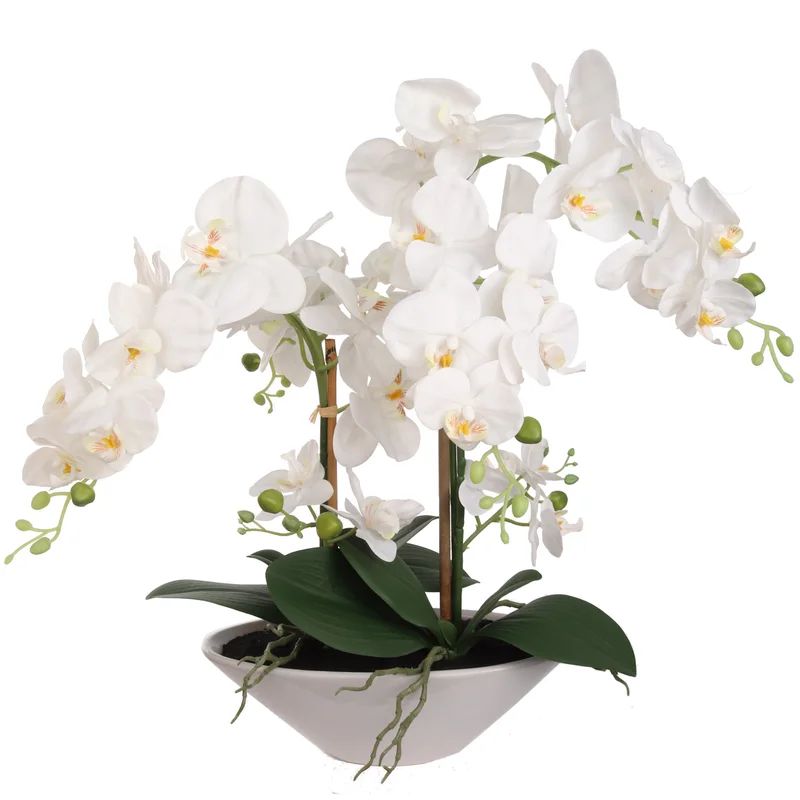 Silk Orchids Arrangement in Vase | Wayfair North America