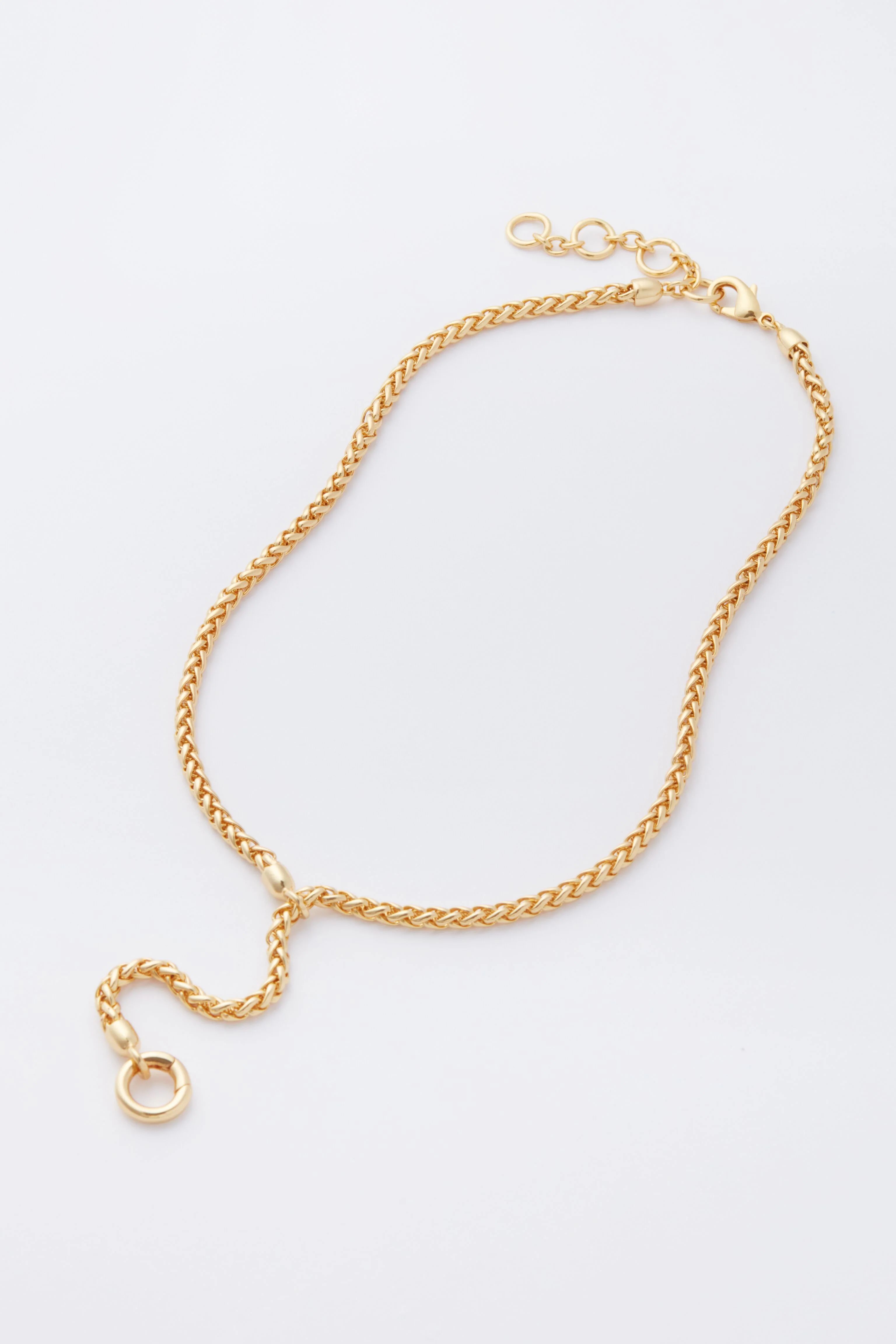 Gold Lariat Necklace | Tuckernuck (US)