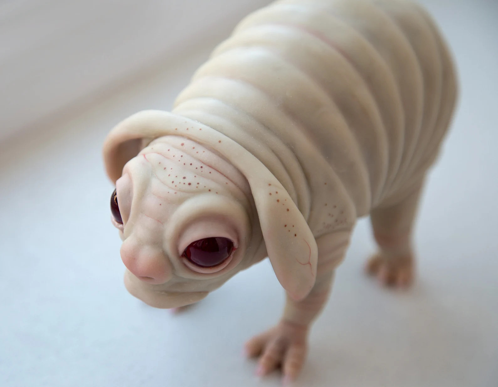 Squonk of Pennsylvania, Creepy Sweet Weird and Sad PA Cryptid Creature, Polymer Sculpture Cryptid... | Etsy (US)