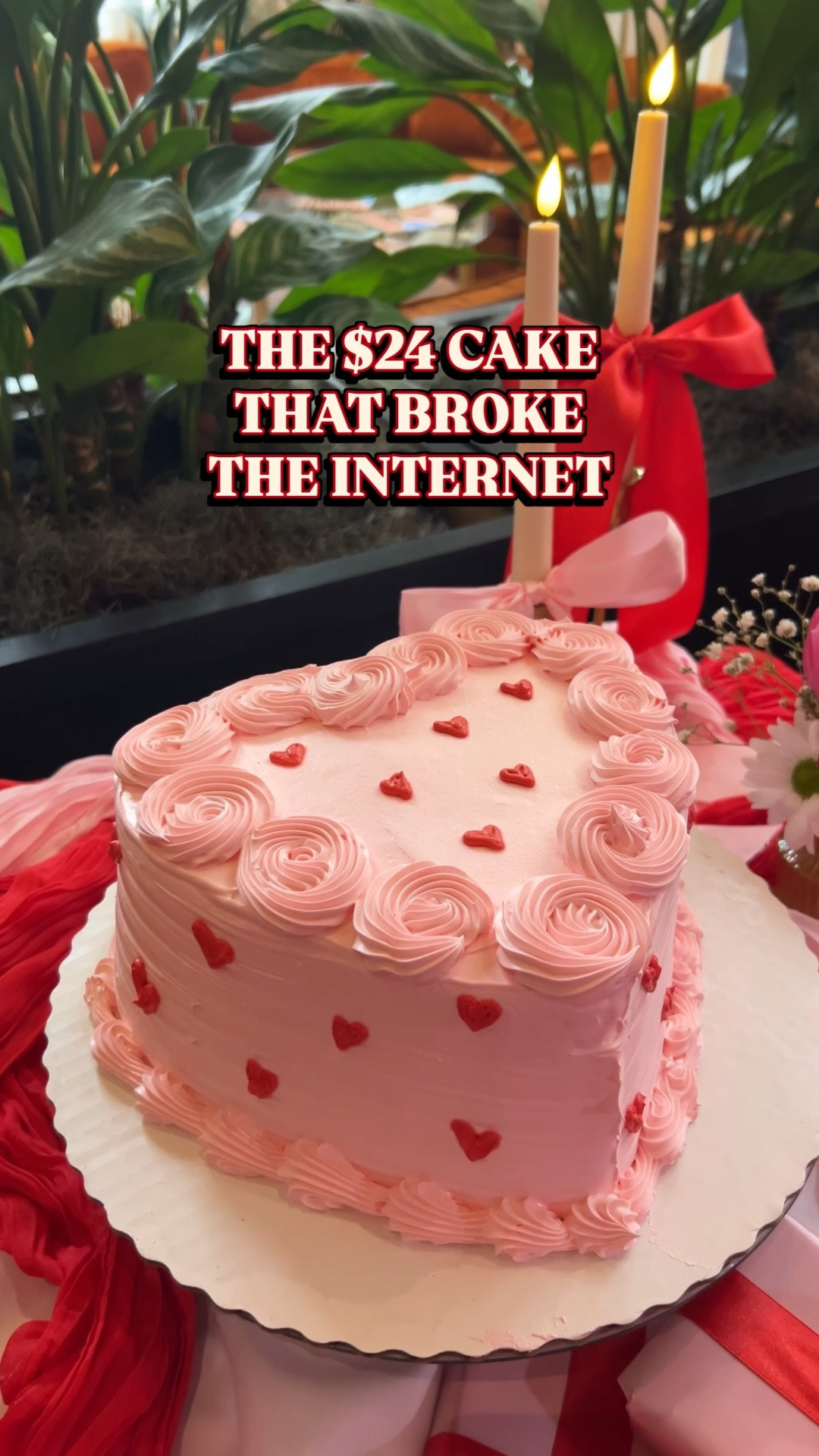 $24 heart cake 

I ordered this cake online for my valentines. It was HUGE! I prefer cool whip icing instead of  buttercream. I asked for tiny hearts like polka dots in the comments  The cake was not only beautiful, it was delicious! A table full of Influencers asked me where I got it. It fed 14 women and we still had a bunch of cake left over. Highly recommend!! 

#LTKWedding #LTKfoodie #LTKvlog