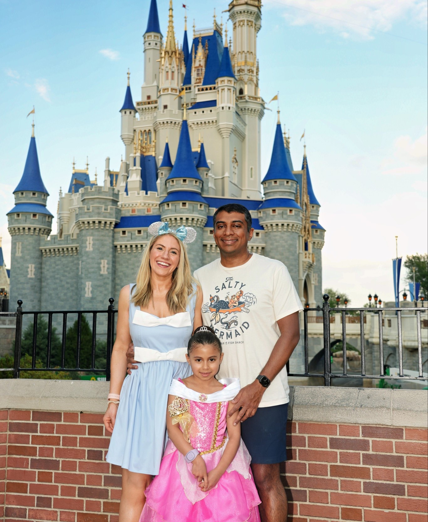 Disney outfits for the whole family! Mommy and me Disney princess outfit. Princess aurora at Walt Disney world! Disneyland outfit 

#LTKmomlife #LTKTravel #LTKKids