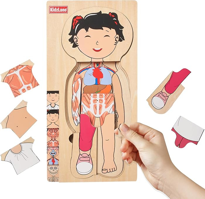 Kidzlane Wooden My Body Puzzle for Toddler - 5-Layer Girl Anatomy Puzzle - Real Wood - Multicolor... | Amazon (US)