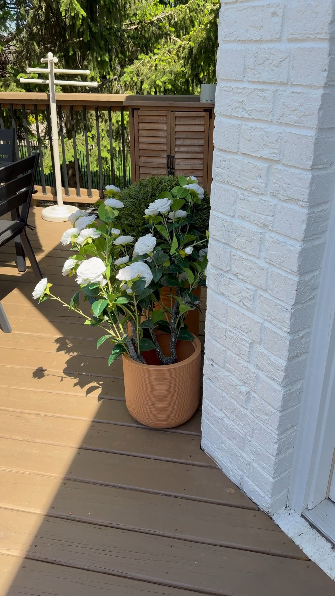 Walmart viral artificial Cyprus ball back in stock!

#LTKSeasonal #LTKMothersDay #LTKHome