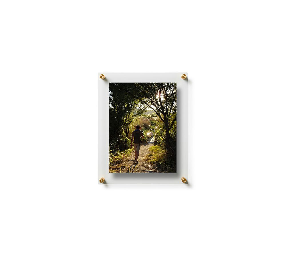Acrylic Floating Double Panel Wall Frames | Pottery Barn (US)