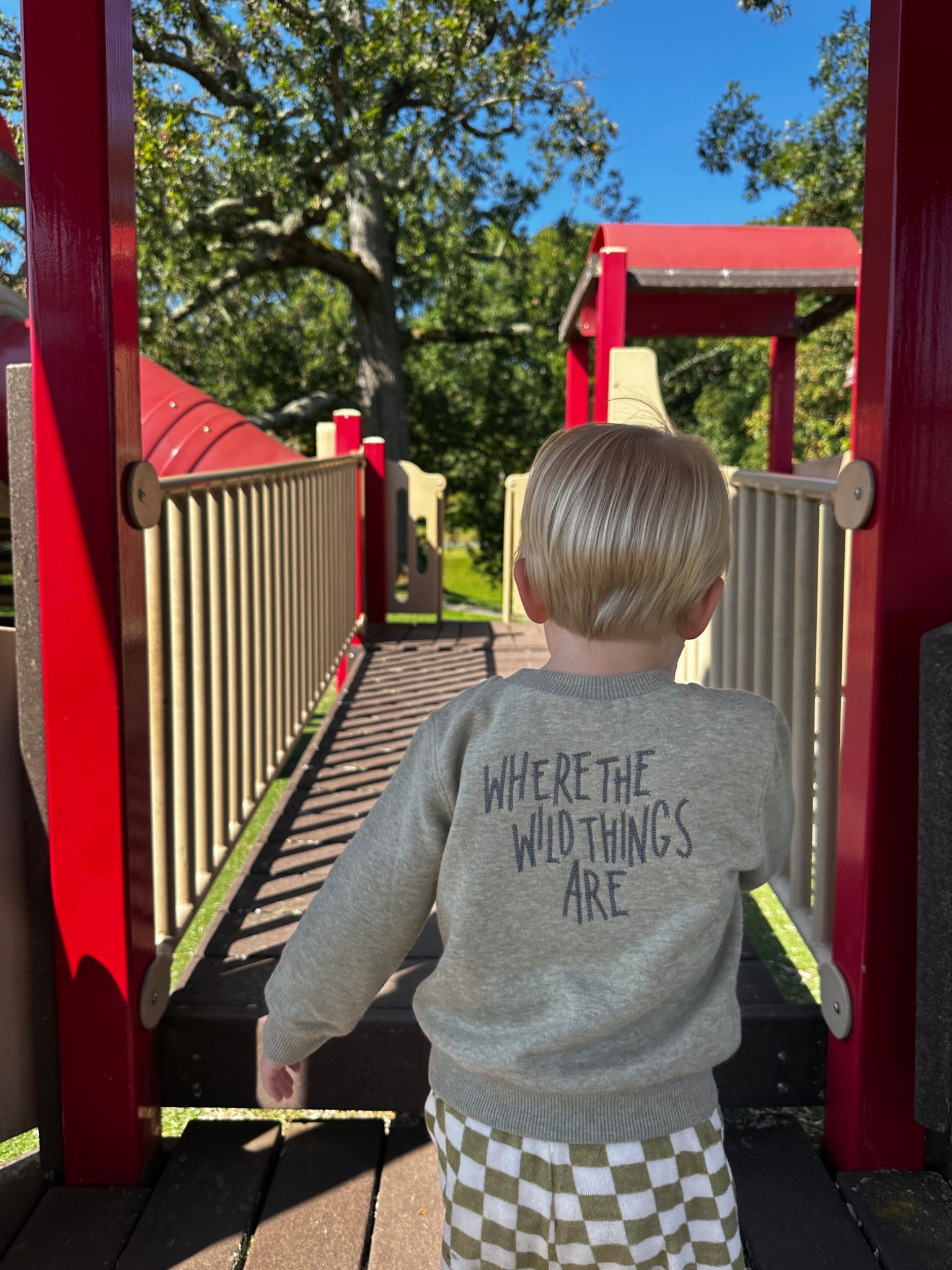 Walmart little boy sweatshirt 

#LTKBaby #LTKFallSale #LTKKids