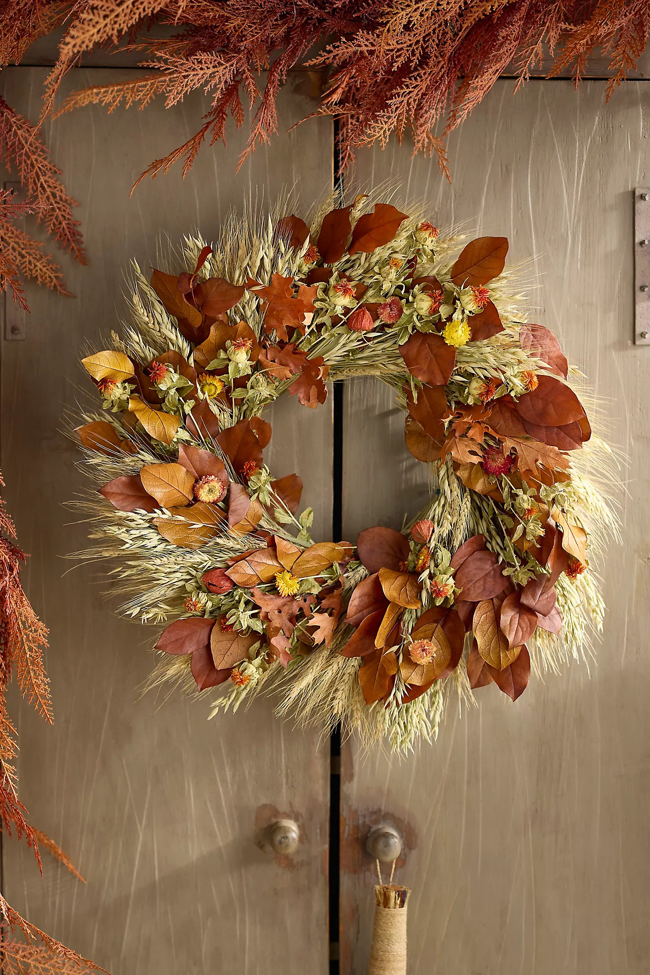 Harvest Grasses Dried Wreath | Anthropologie (US)