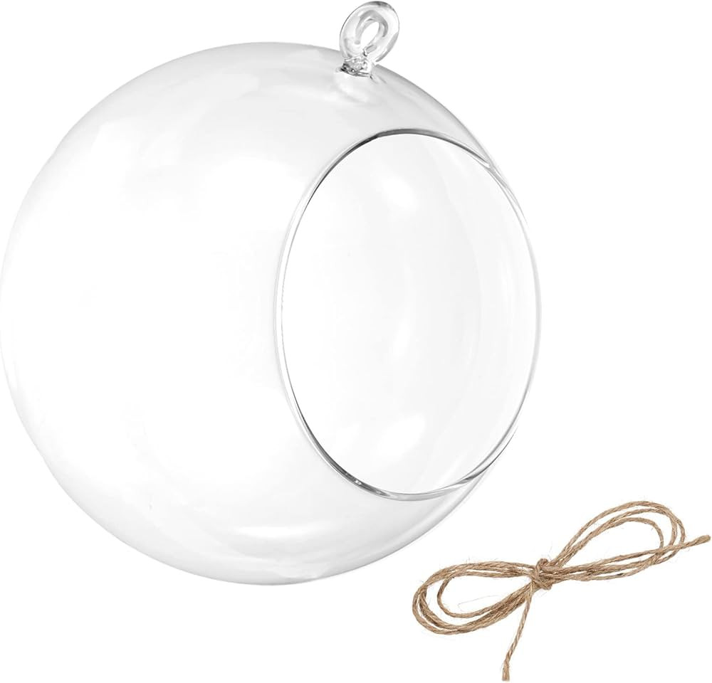 PATIKIL Round Globe Terrarium Air Plant Planter, 6.3 Inch High Borosilicate Glass Hanging Decorat... | Amazon (US)