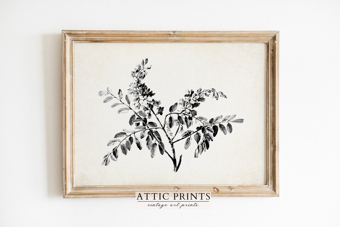 Vintage Wall Decor Black and White INSTANT PRINTABLE Wall Art Download Print French Country Farmh... | Etsy (US)