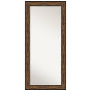 Oversized Bronze Composite Modern Mirror (70.5 in. H X 31.5 in. W) | The Home Depot