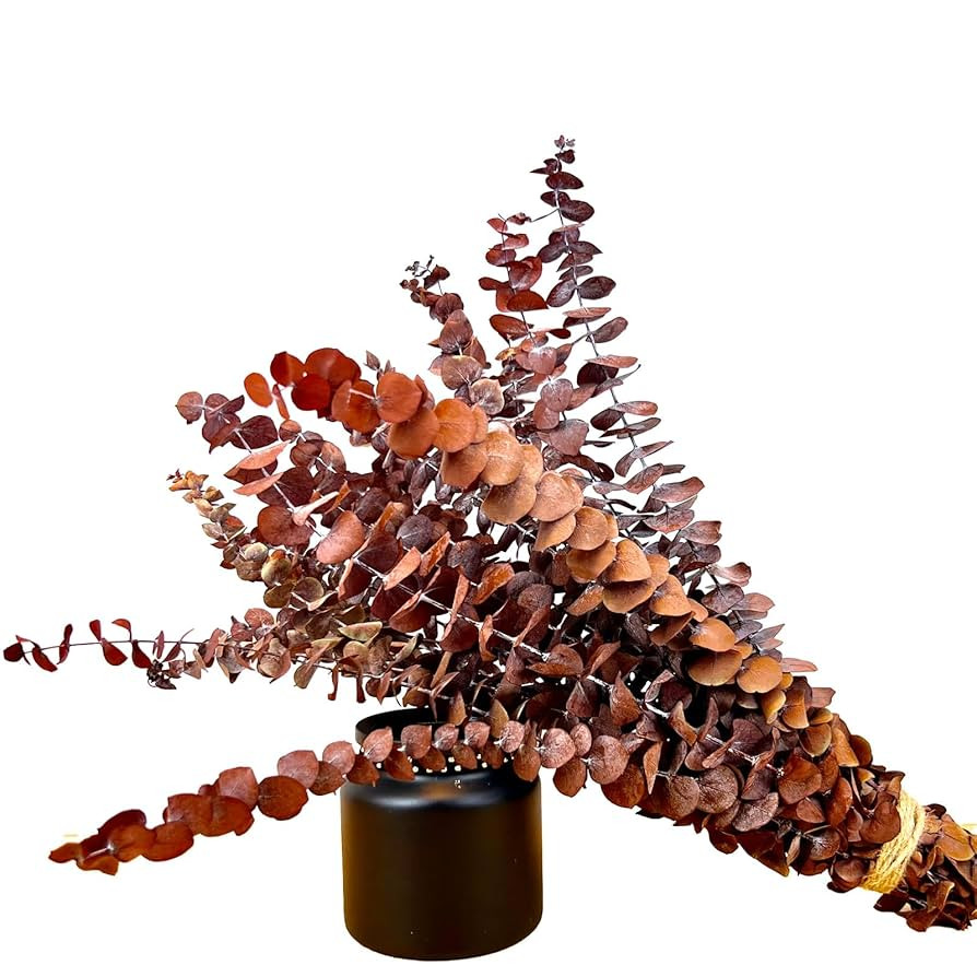 (20Pcs) Dried Eucalyptus Stems - Red, Fall Decorations for Home, Real Long Eucalyptus, Dried Flow... | Amazon (US)
