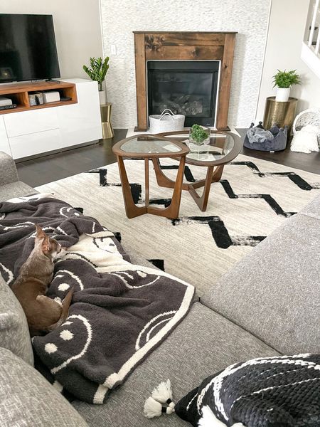 Room refresh!

Area rug, throw pillow, dog bed, dog chair, free standing fire place mantle, #competition

#LTKSeasonal #LTKFind #LTKhome