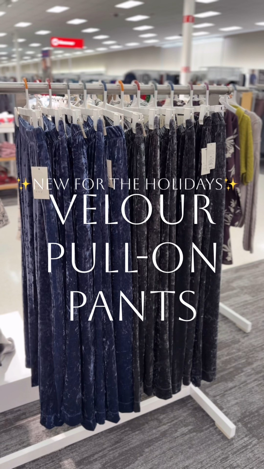 Target must-have velour pull-on pants // the “it” pants this holiday season!🎄✨Love these wide leg pull on pants new at Target! They have  casual fit, elastic waist band, and are full length with pockets! Now is the time to grab while they are stocked- I can see these selling out as we quickly approach the holidays and NYE! The fit is 🔥 yet comfy enough for all day wear!🙌🏻 Two colors available, sizes XS-4X. I’m 5’7” and grabbed my true size XS! Which color is your fave?👇🏻


#LTKWorkwear #LTKHoliday #LTKFindsUnder50