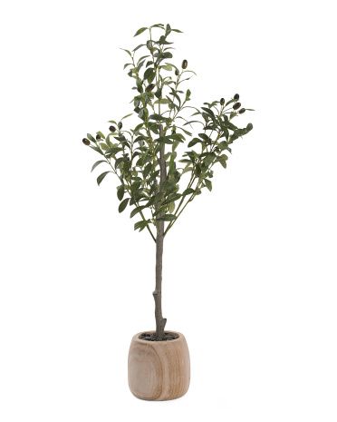 3ft Olive Tree In Wood Pot | TJ Maxx