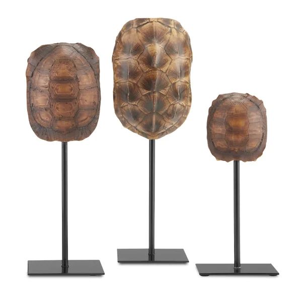 3 Piece Turtle Shells Figurine Set | Wayfair North America