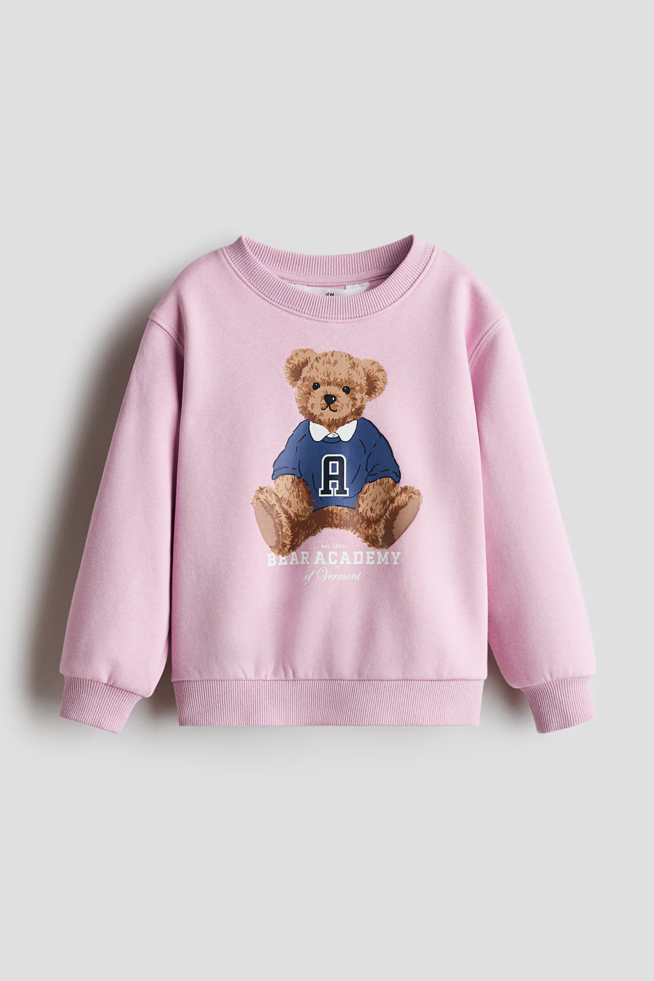 Printed Brushed-Inside Sweatshirt | H&M (US + CA)