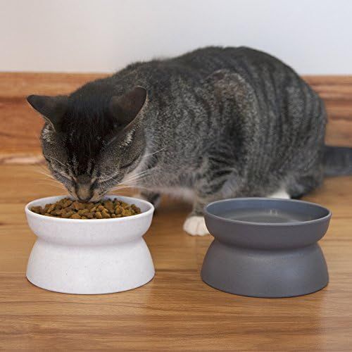 Kitty City Cat Bowl, 6.5 Ounce, 2 Count | Amazon (CA)