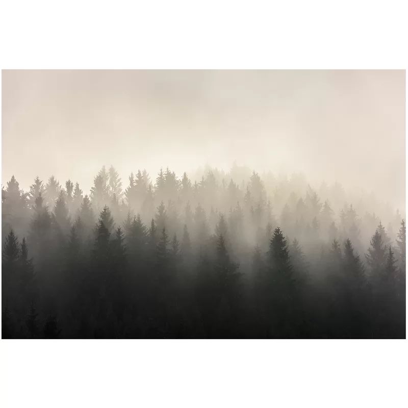 Baez Misty Foggy Pine Wall Mural | Wayfair North America