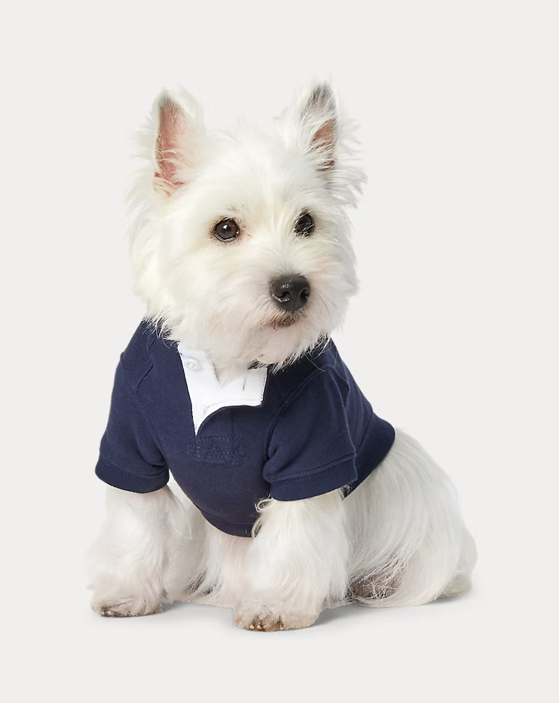 Polo Bear Fleece Dog Hoodie | Ralph Lauren (UK)