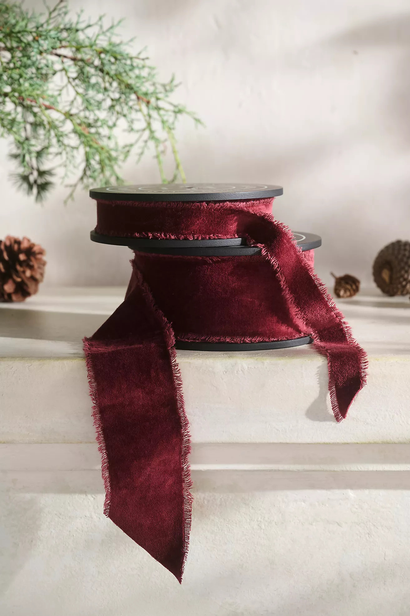 Antiqued Frayed Velvet Ribbon | Anthropologie (US)