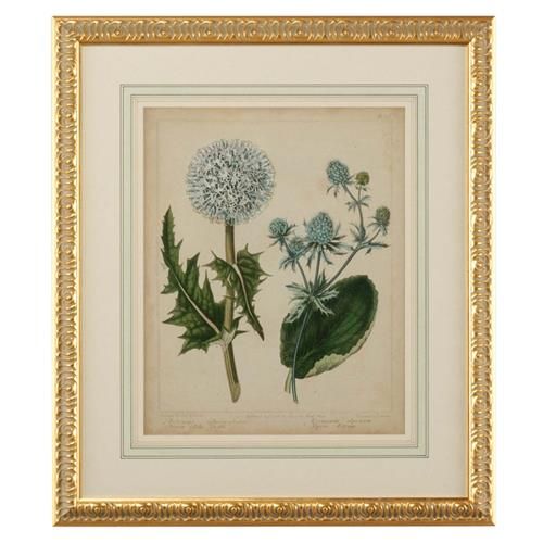 Chelsea House Cottage Florals III French Country Gold Leaf Frame Illustration | Kathy Kuo Home