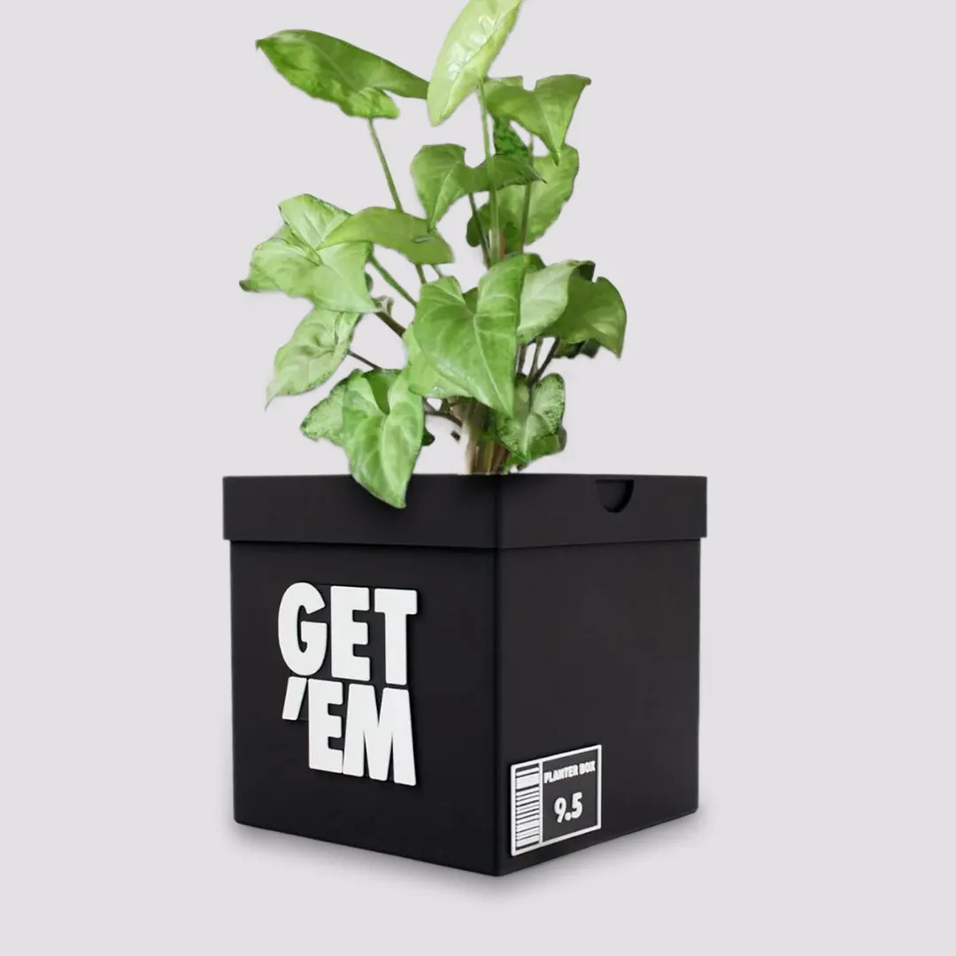 Get 'em Sneakers Box Planter Pot - 3D Printed - Sneaker Room Decor - Sneaker Head Decor- Unique P... | Etsy (US)