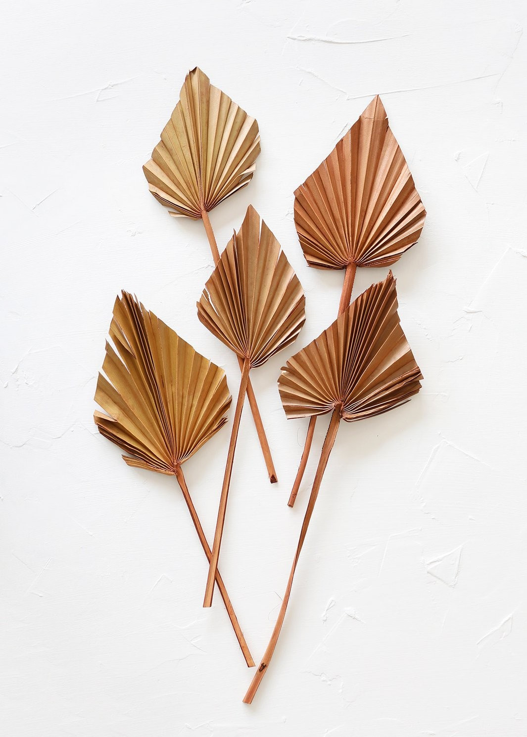Pack of 5 - Afloral Dried Mini Palm Spears in Terracotta Orange | Afloral (US)