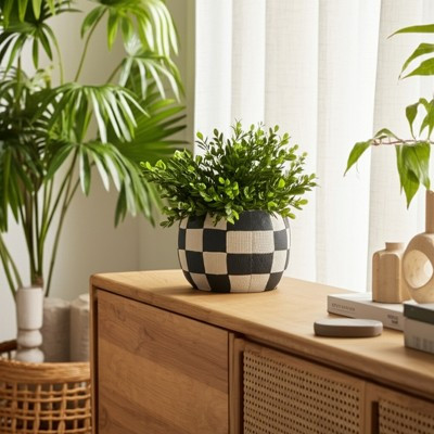 Modern Rounded Checkerboard Flower Pots for Home Decor Stylilng - Refined Planter with Graphic Pattern Detail - Indoor and Outdoor - 5", Black & White | Target