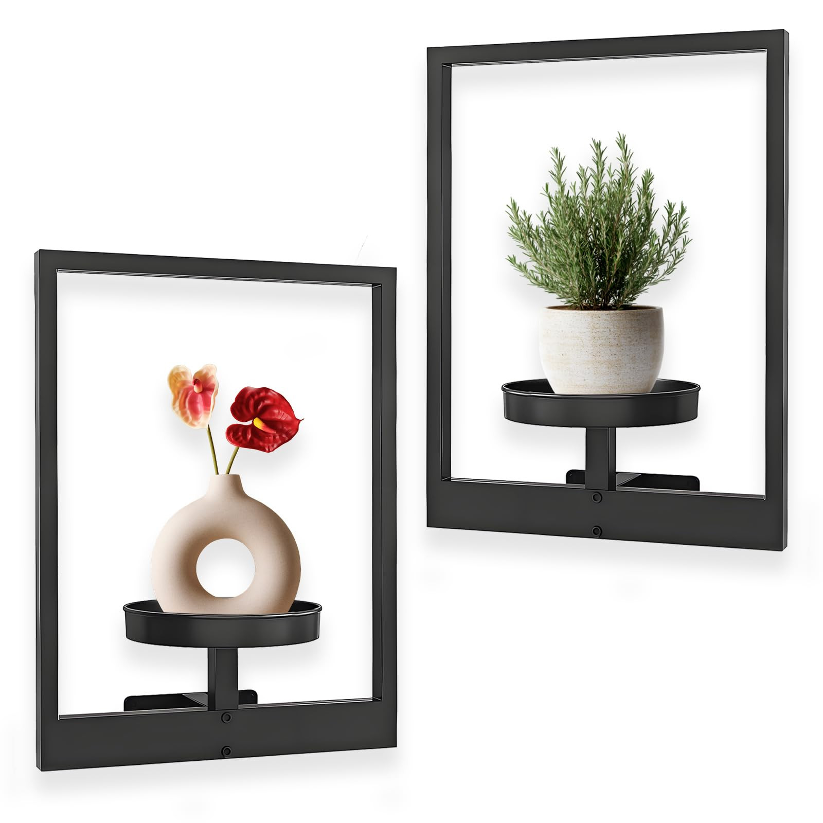 Picture Frame Wall Plant Holder, Window Plant Shelves, Metal Plant Wall Frame, Metal Modern Style... | Amazon (US)