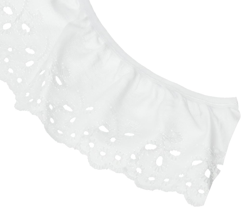 WRIGHTS Simplicity Floral Eyelet 2-5/8"X10yd, White | Amazon (US)