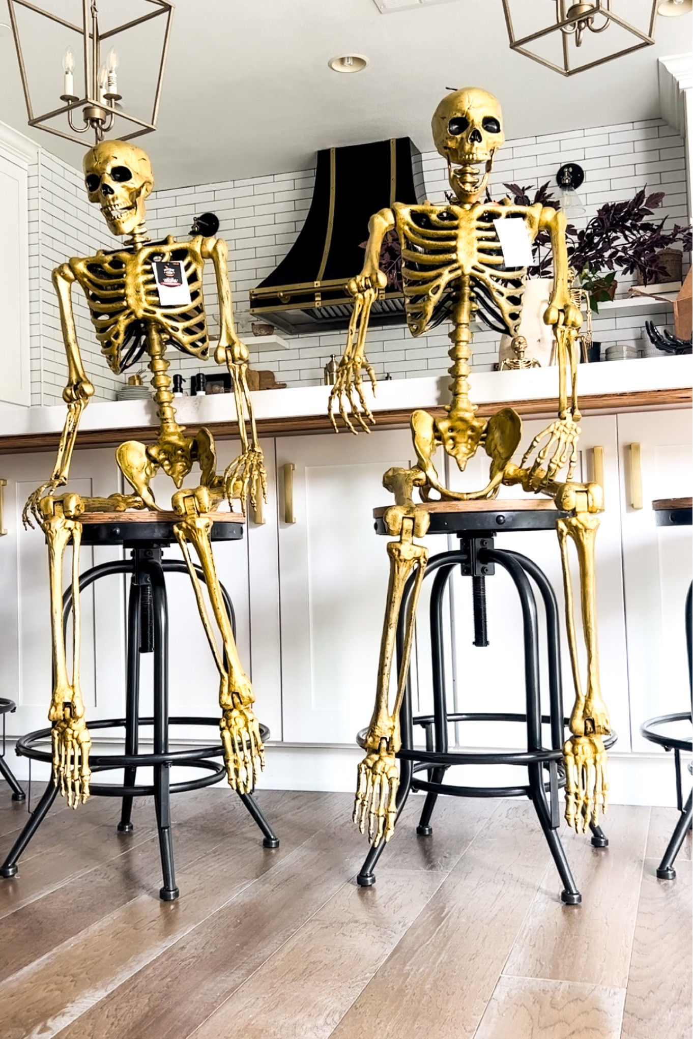 60" Posable Gold Skeleton Halloween Decorative Mannequins.

Gold skeletons
Halloween decor
Halloween home
Skeleton decor
Halloween kitchen 
Neutral Halloween
Black and gold 

#LTKHalloween #LTKHoliday #LTKSeasonal