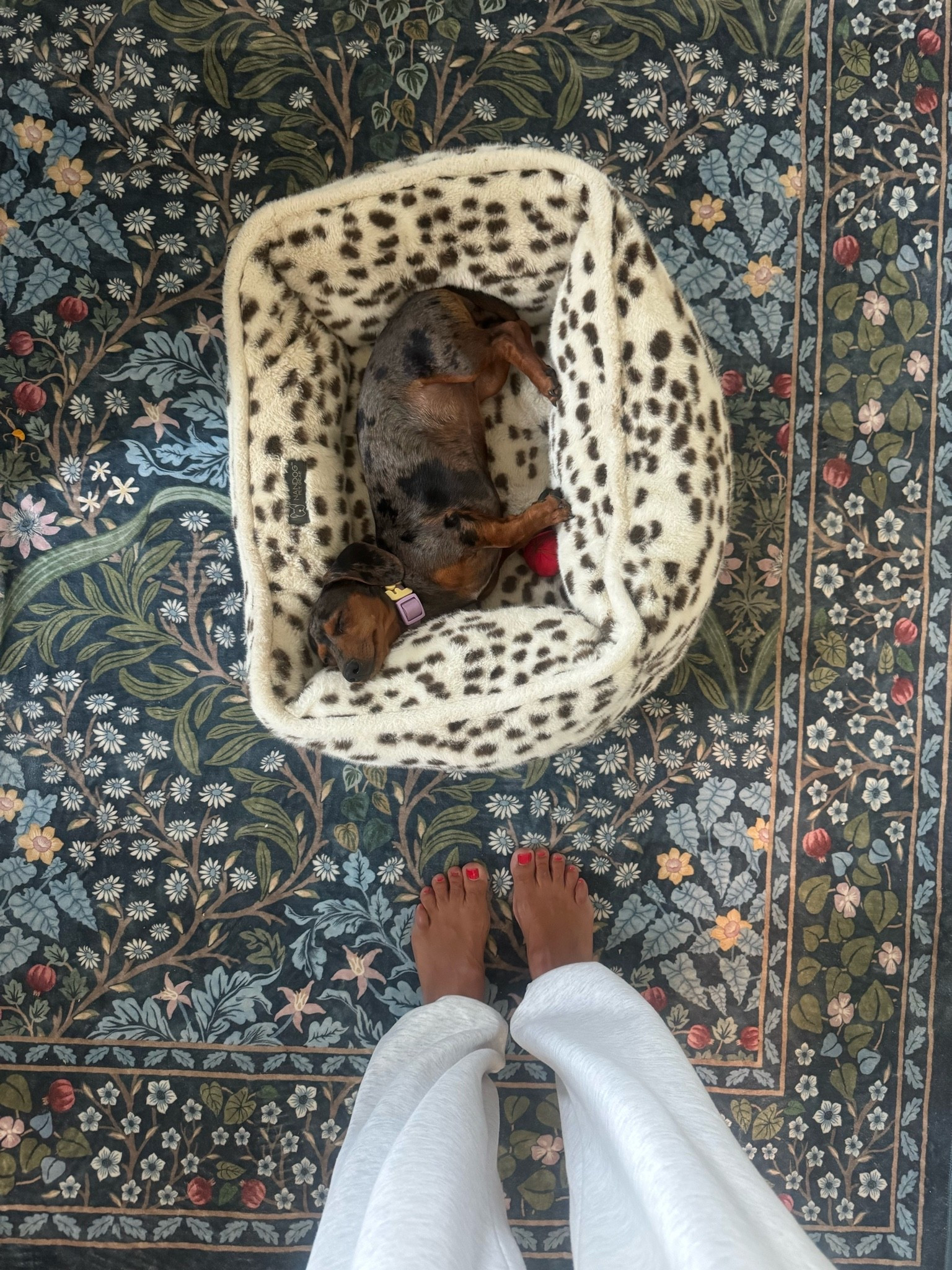 OBSESSED with this rug!! We got the same print but a different color way for Emma’s dorm room. It’s washable and so soft!

#LTKHome