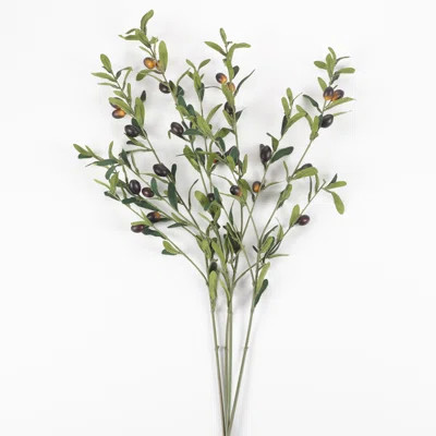 4 Piece Decor Olive Branch Fleur De Lis Living | Wayfair North America