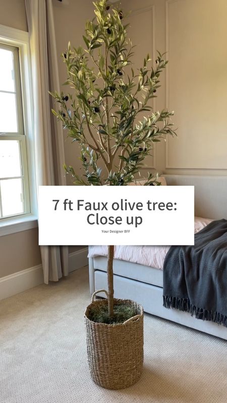 Faux olive tree artificial olive tree basket 

#LTKVideo #LTKhome