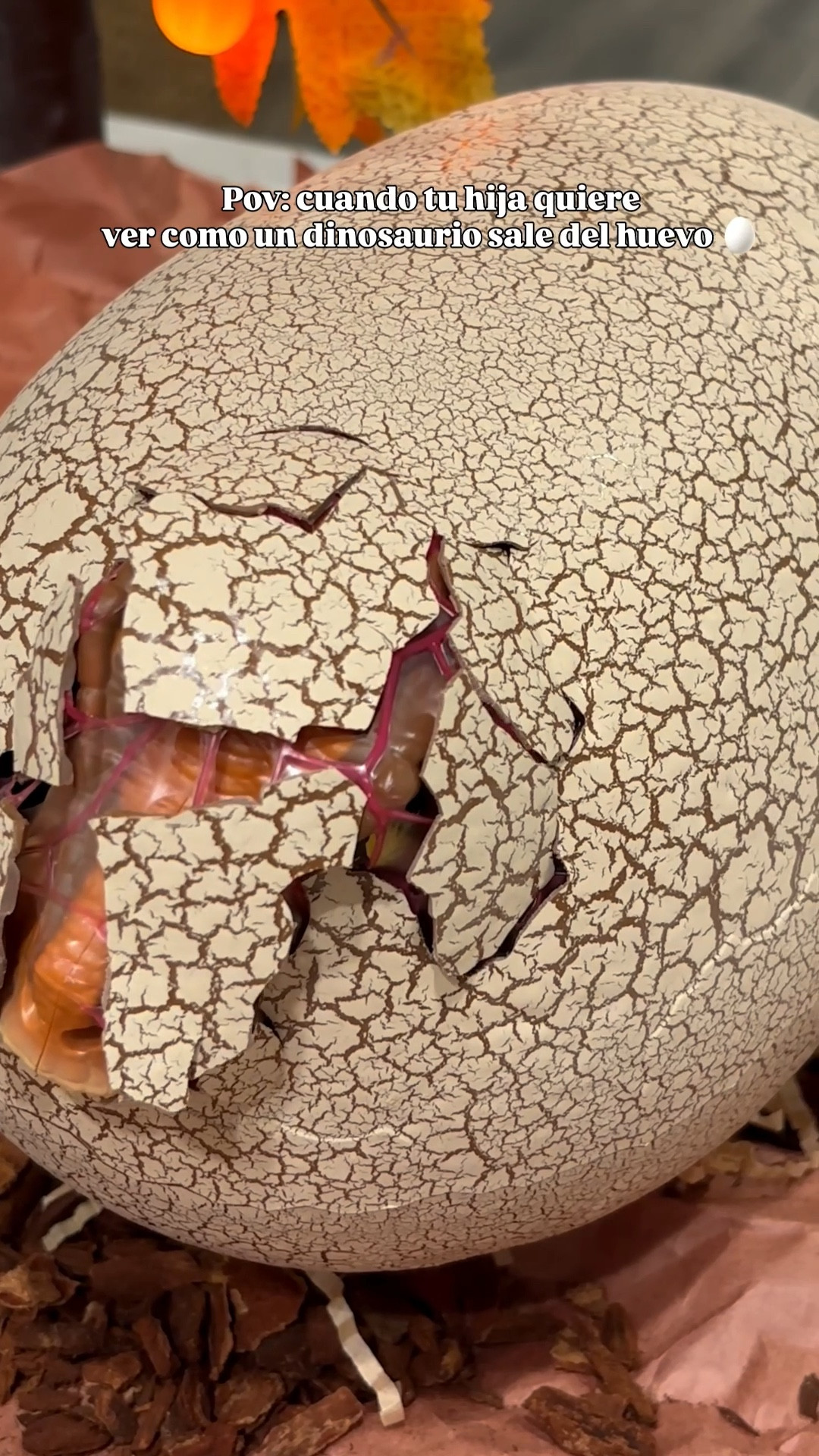 Este dinosaurio sale del huevo REAL, mira esto…”

“Va creciendo poquito a poco hasta romper el huevo. A mi hija le ENCANTÓ, se entretiene full viendo cómo se transforma.”

“Si tienes un toddler… este es un viral que de verdad funciona.”

•	baby dinosaur egg
	•	dinosaur toy surprise
	•	hatch a dinosaur
	•	viral toy for toddlers
	•	sensory toy for kids
	•	toddler viral toy


#LTKKids #LTKBaby #LTKFamily