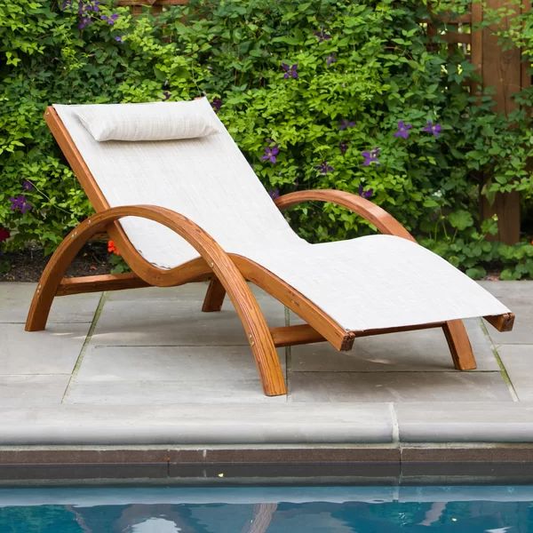 Sling Lounge Chair with Cushion | Wayfair Professional