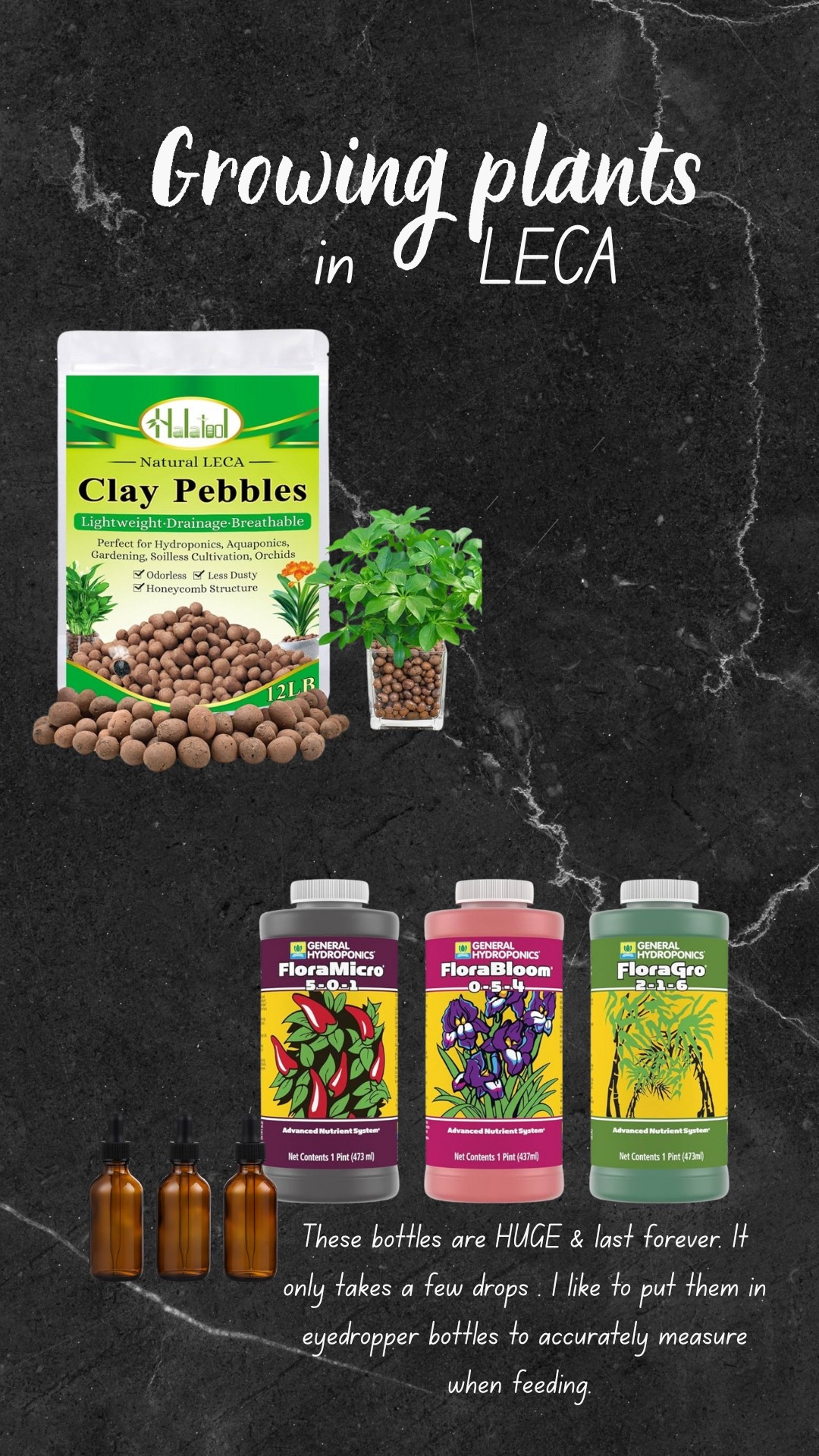 I love growing houseplants in LECA! See my Instagram feed for more information on LECA’s benefits. A huge one: NO BUGS!

#LTKHome #LTKFindsUnder50 #LTKGiftGuide