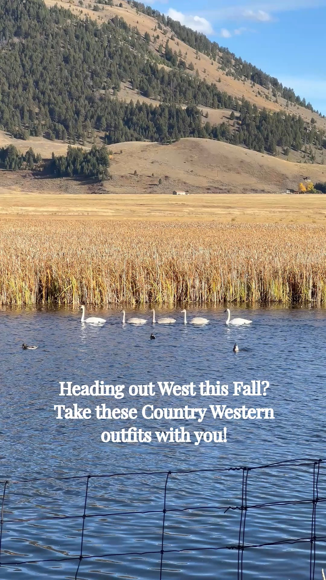 Heading out West this Fall? Take these Country Western outfits with you!

#LTKSeasonal #LTKOver40 #LTKSaleAlert #LTKTravel #LTKgrwm #LTKootd #LTKMidsize #LTKvlog #LTKU #LTKWorkwear