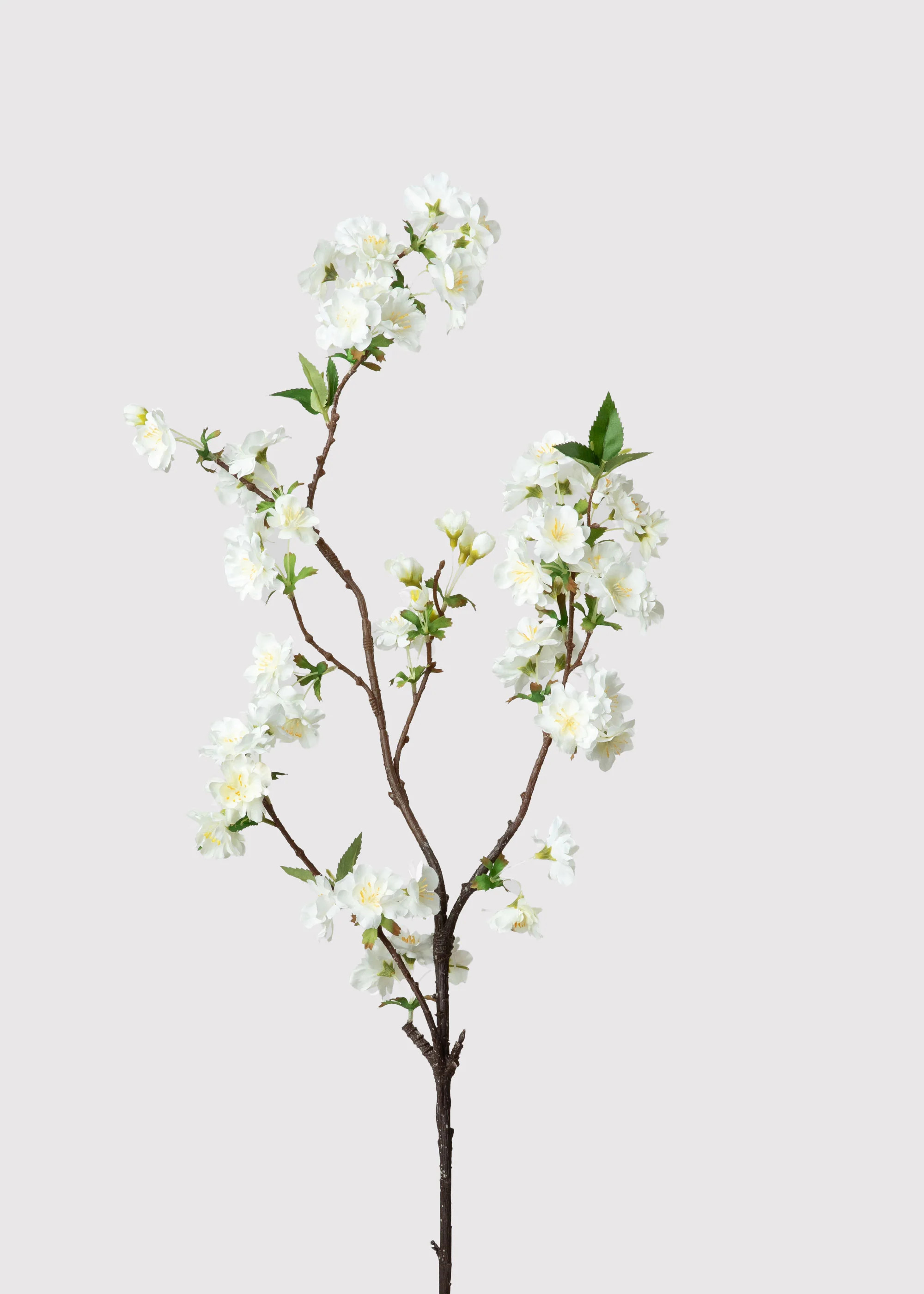Cherry Blossom in Cream White | Artificial Spring Flowers | Afloral | Afloral