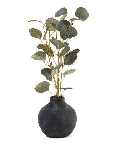 19in Eucalyptus Branches In Pot | TJ Maxx