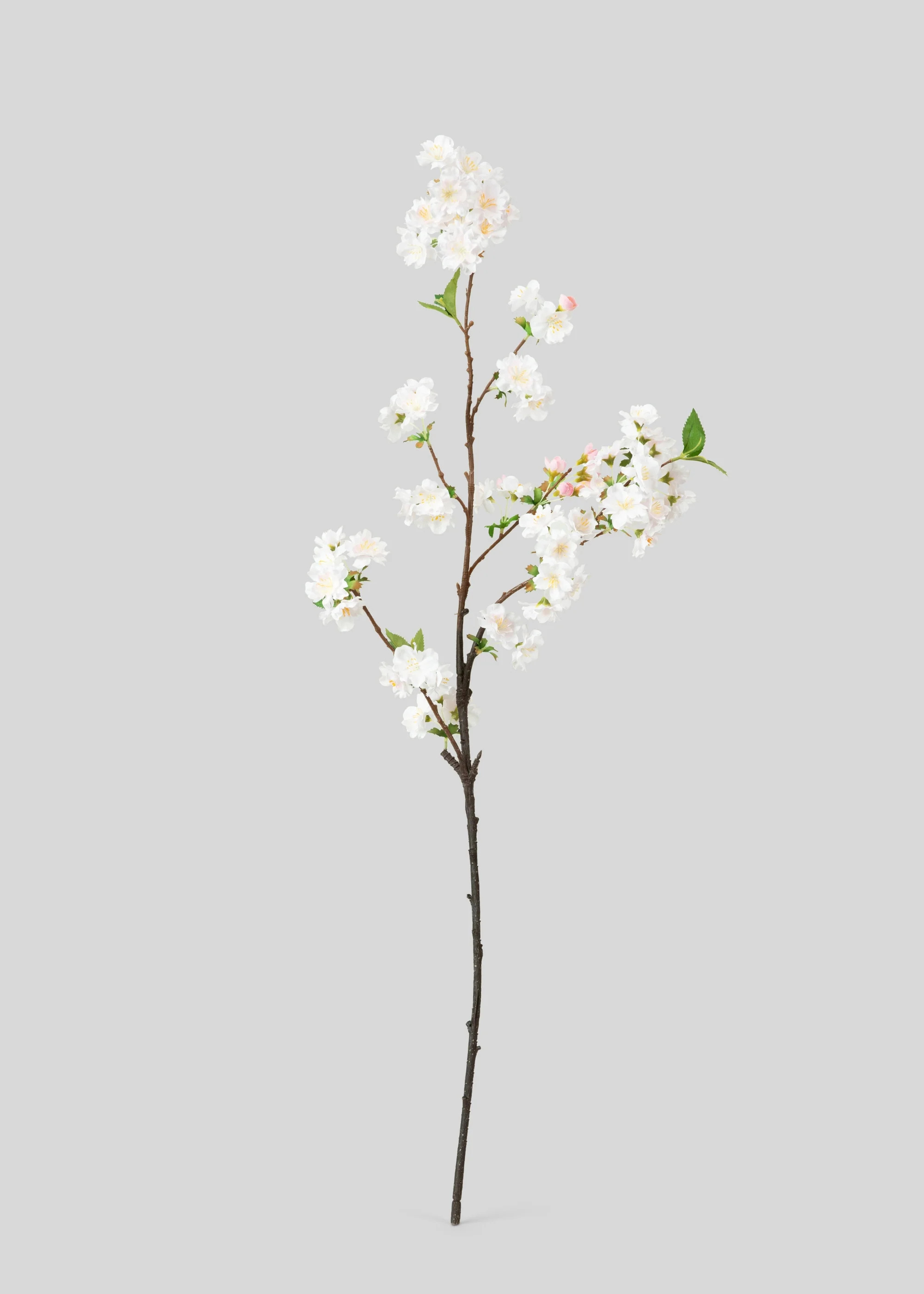 Cherry Blossom Branch in Blush | Faux Spring Flowers | Afloral | Afloral