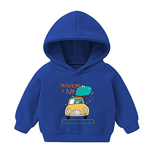 LMYJSF Toddler Babys Hoodie Cute Graphic Hooded Sweatshirt Boys Girls Funny Dinosaur Tops Kids Autumn Winter Clothes (A02 Blue, 2-3 Years) | Amazon (US)