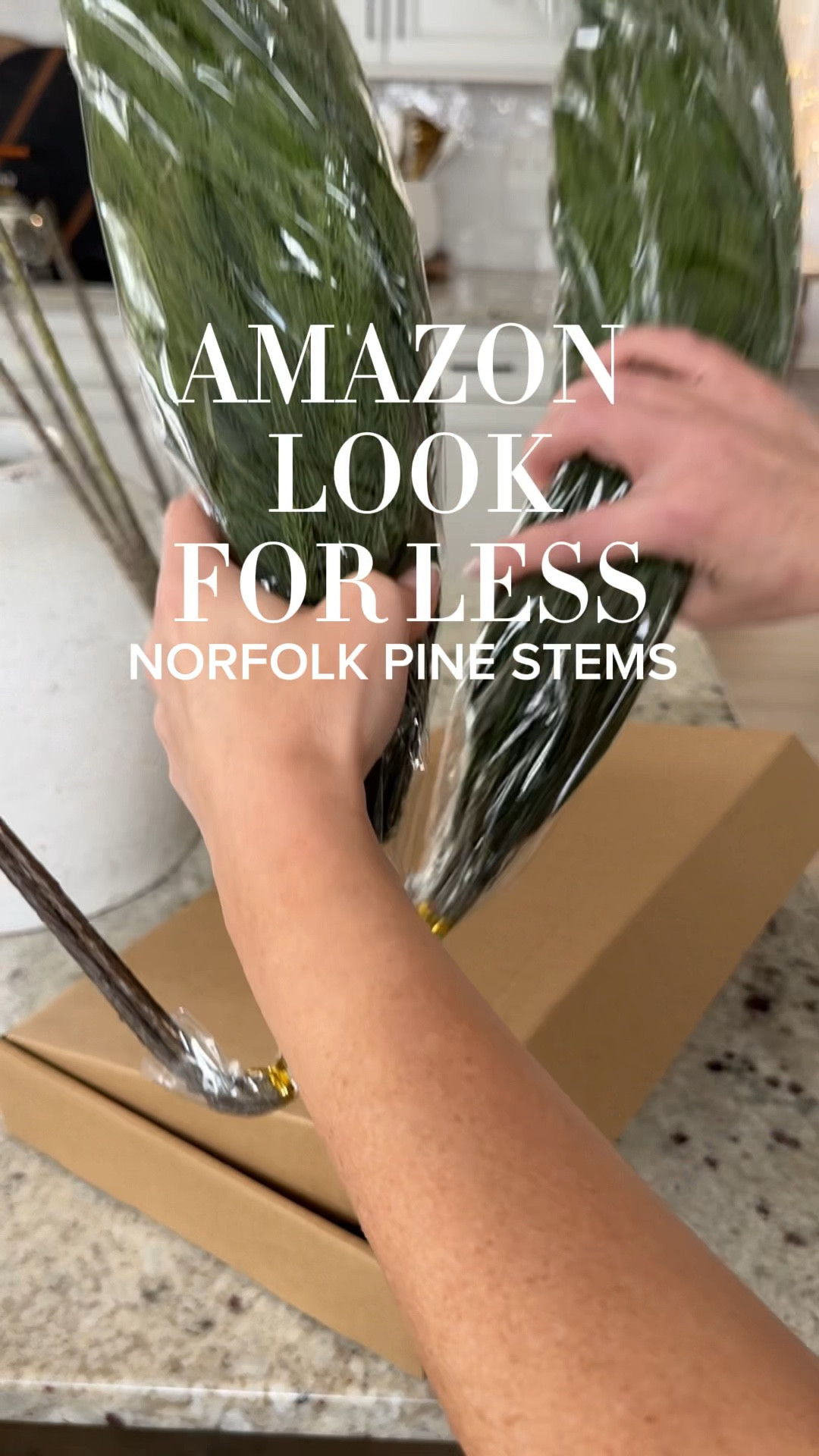 Amazon look for less Norfolk stems, vase, rustic bells 

#LTKHome #LTKVideo #LTKHoliday