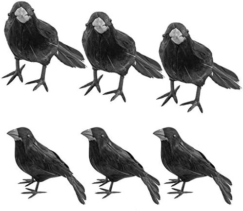 Rocinha Realistic Crows Halloween Decoration Black Feathered Crows, 6 Pack Artificial Crows Hallo... | Amazon (US)