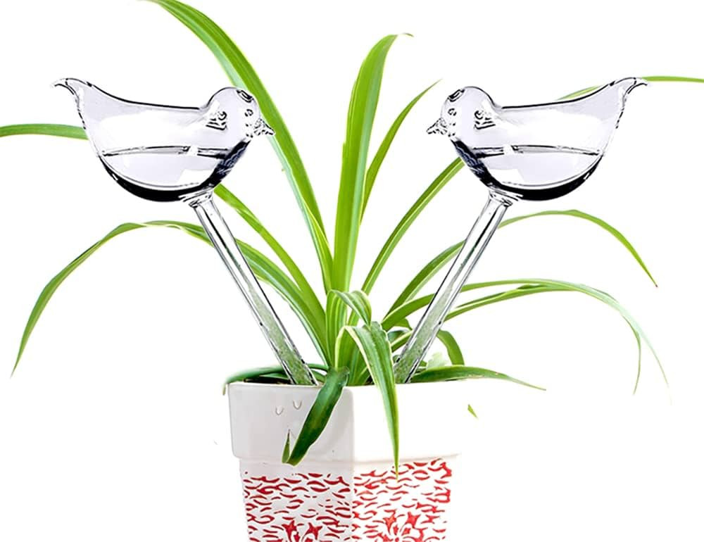 Adabocute Glass Mini Plant Watering Globes - 2 Pack Plant Watering Bulbs Devices - Bird Shape sel... | Amazon (US)