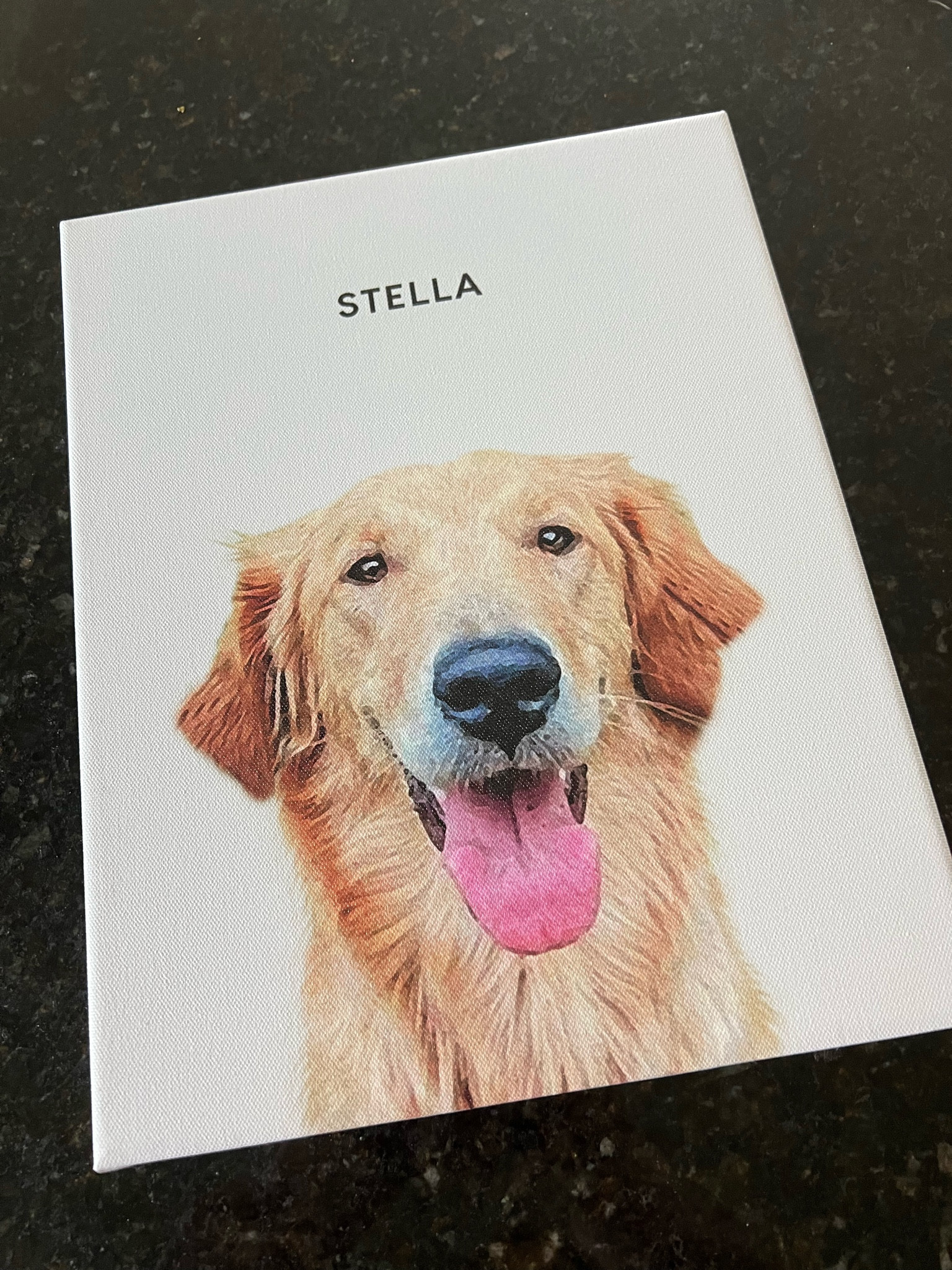 Personalized artwork // pet artwork // Etsy 