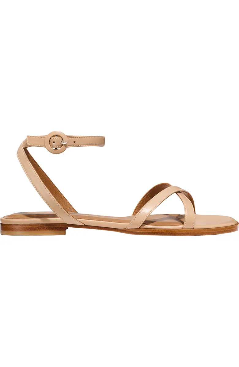 The Flat Sandal | Nordstrom