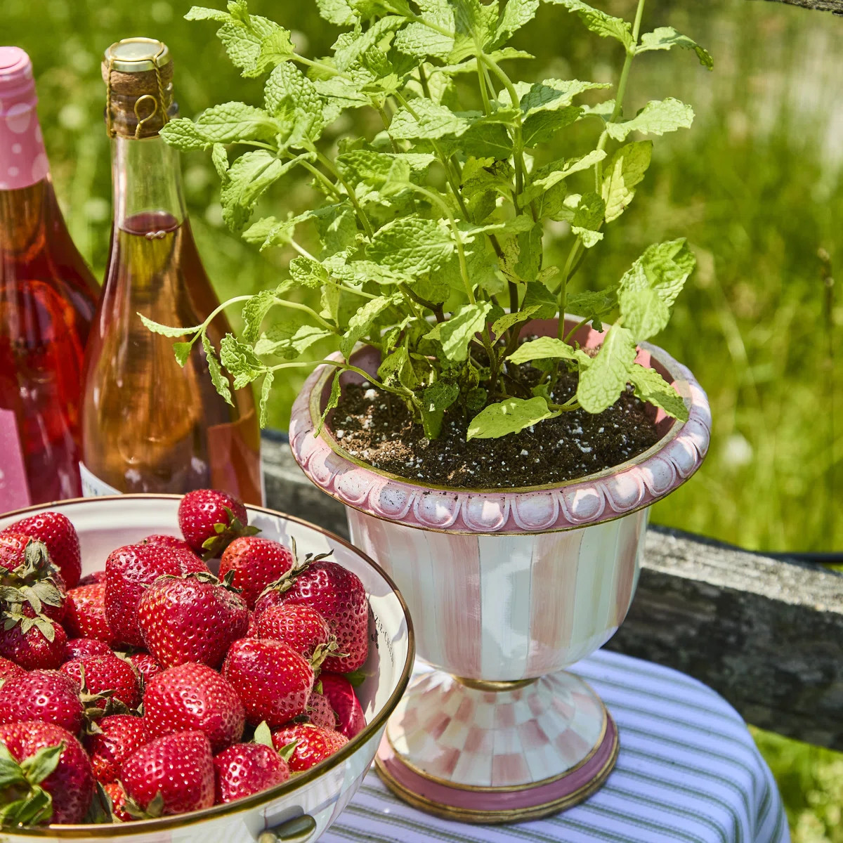 Rosy Check Rosy Stripe Tabletop Urn | Wayfair North America
