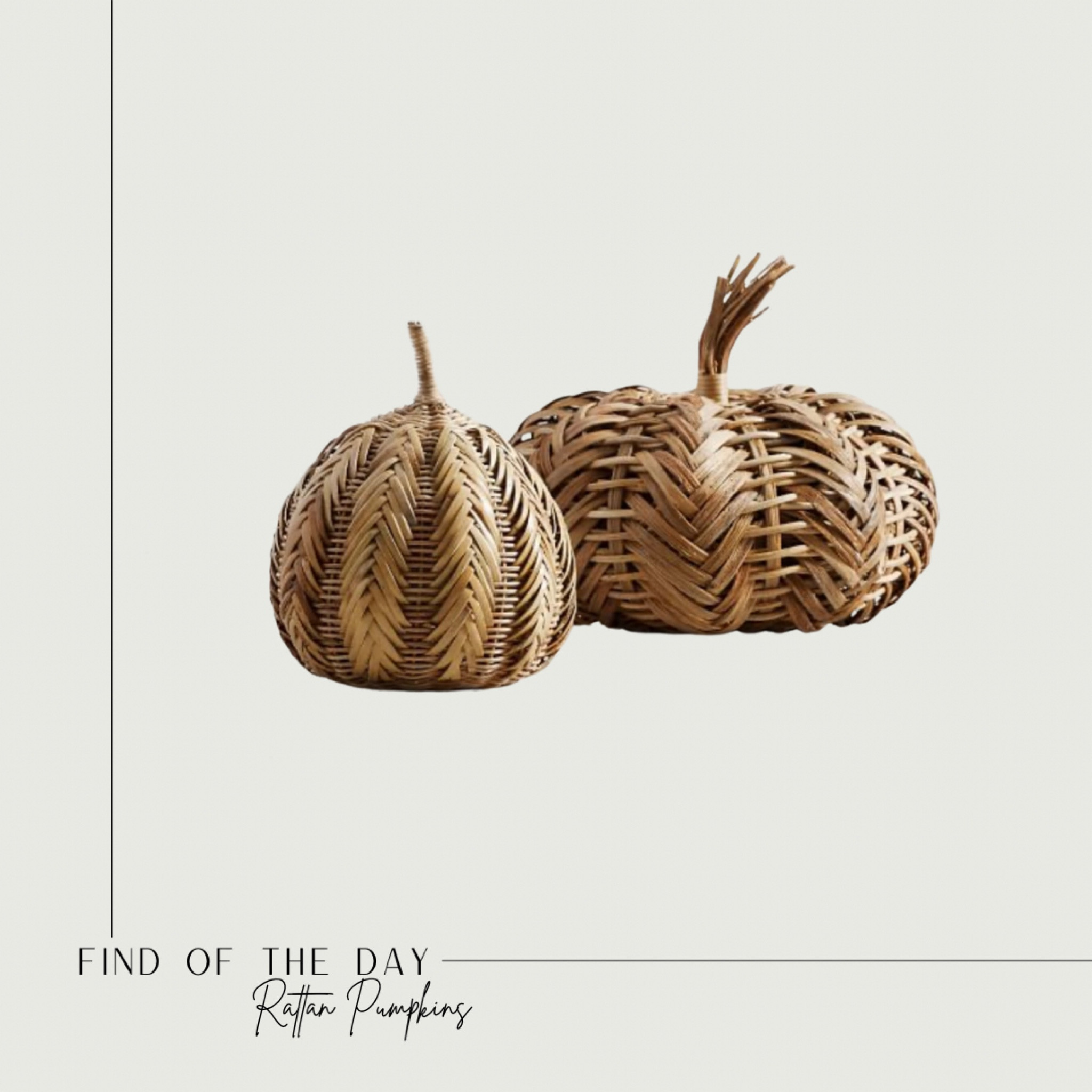 Find of the day! These rattan pumpkins are an affordable find and are a unique and not too cliche piece of fall home decor to add to your home. 

Pumpkins, fall decor, Halloween, affordable home decor, pottery barn finds, coastal decor, neutral decor

#LTKunder50 #LTKSeasonal #LTKhome