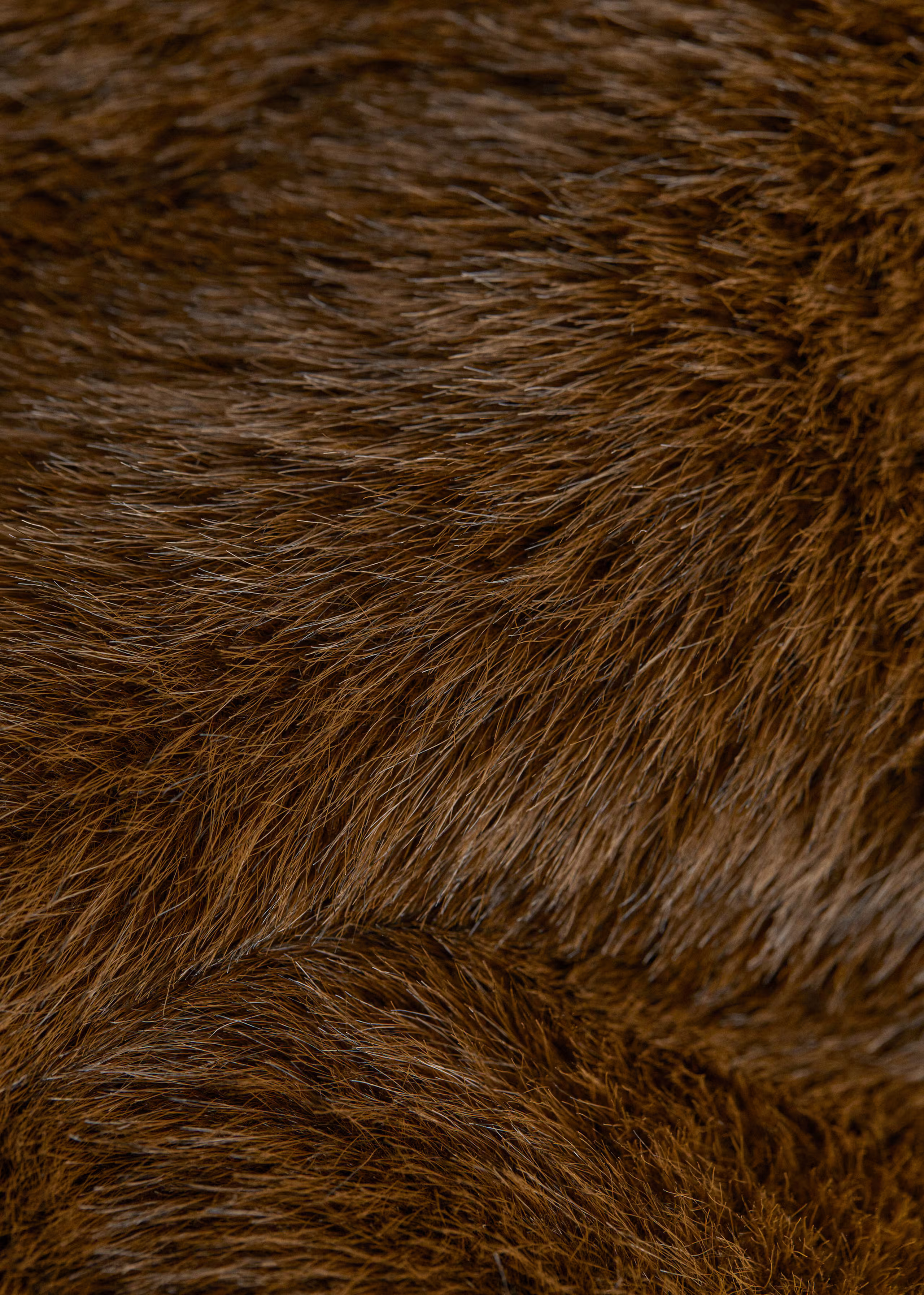 New | & Other Stories EU